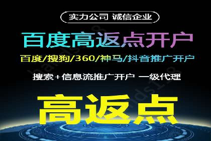 某电商平台的托管SEM竞价策略大揭秘